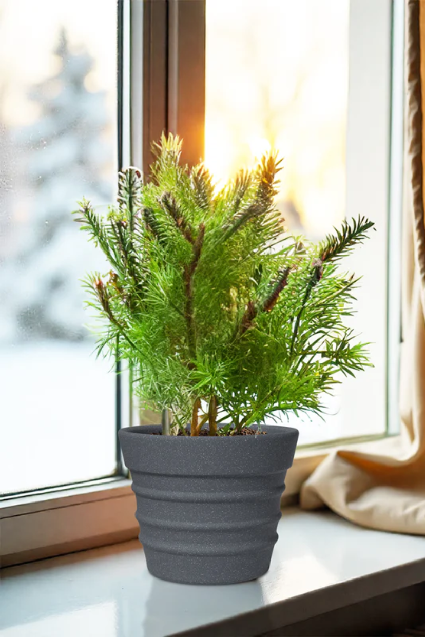 FOX-B | BR PLANTER