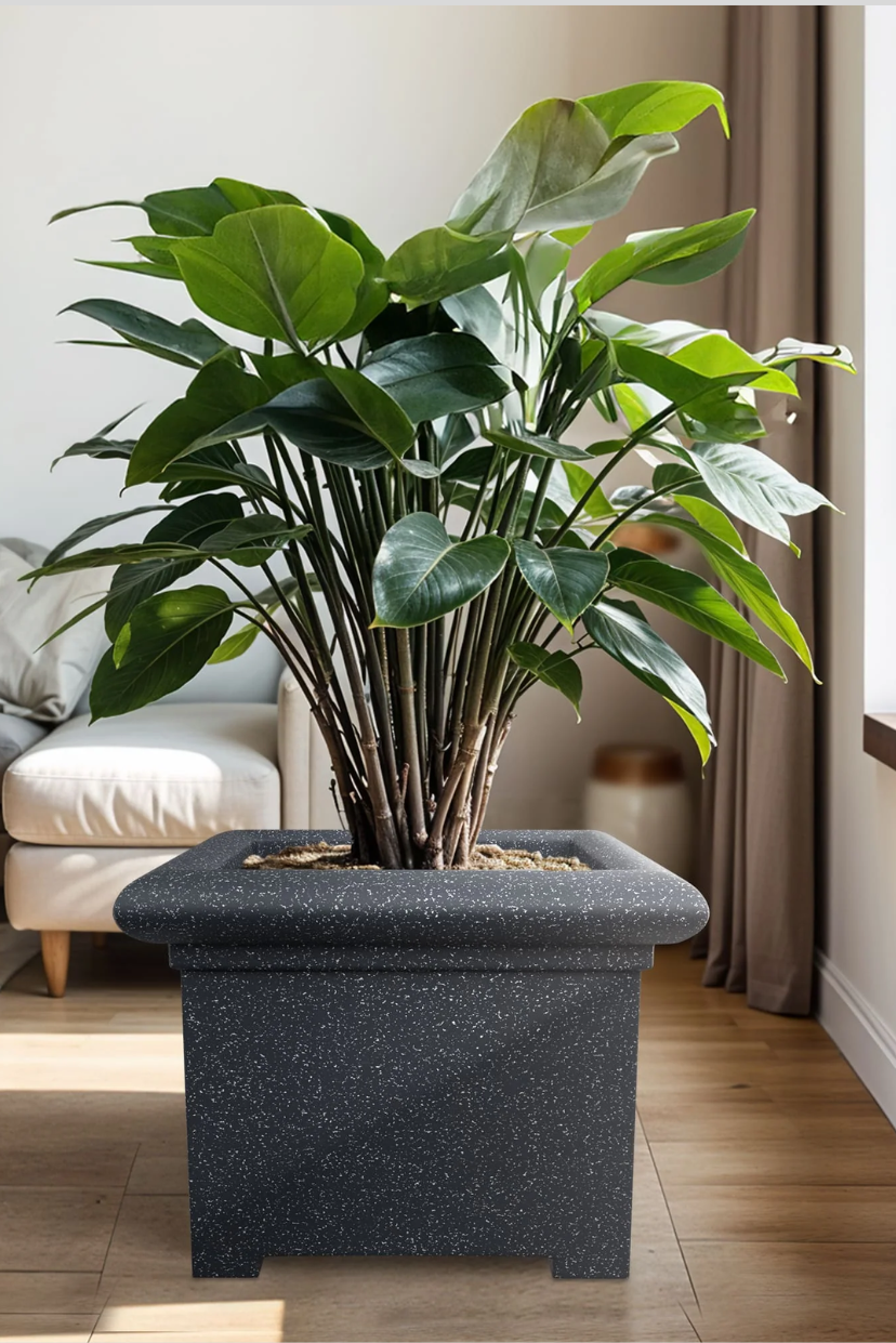 FOX B | BS PLANTER