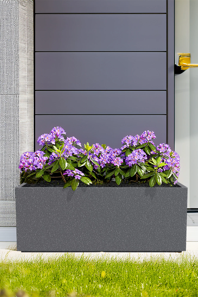 FOX B | BXT PLANTER