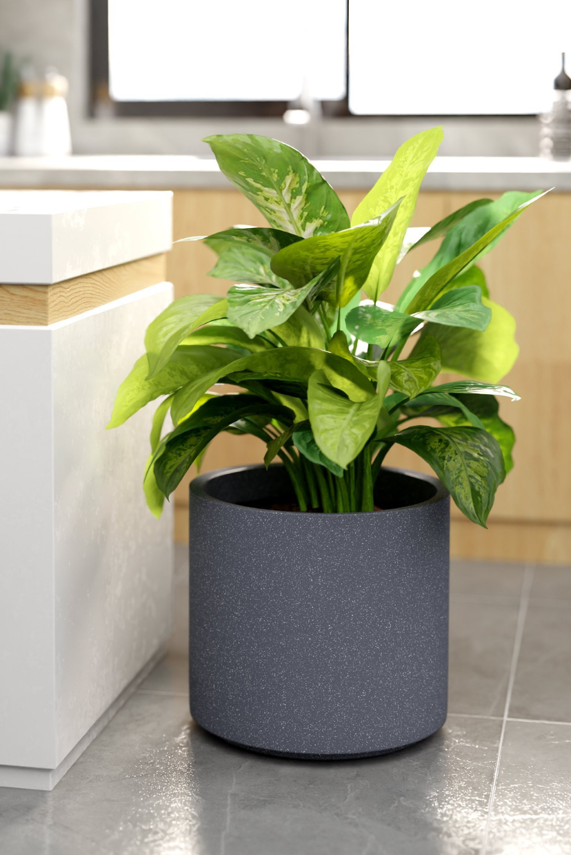 FOX B | CILIN PLANTER