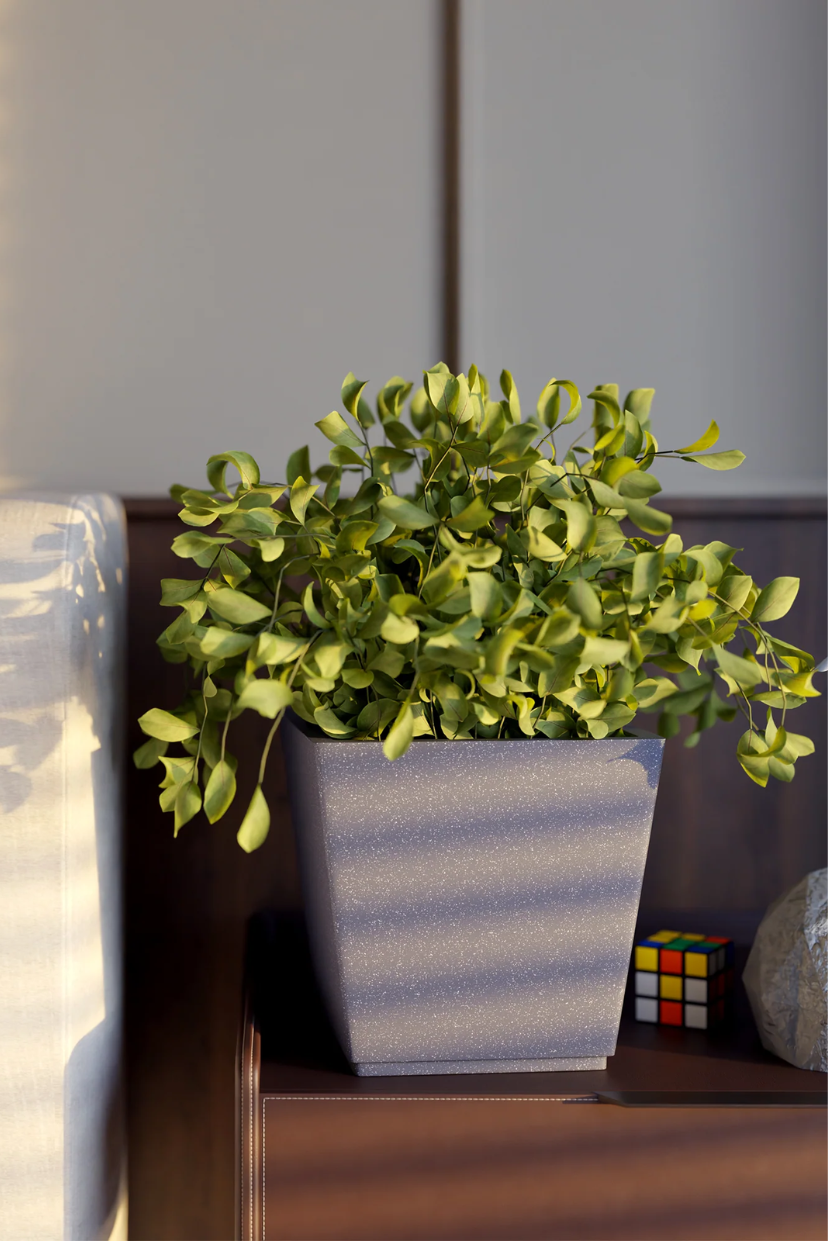 FOX-B | GK PLANTER