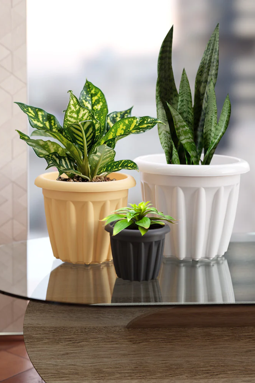 SHERA | FLOOT PLANTER