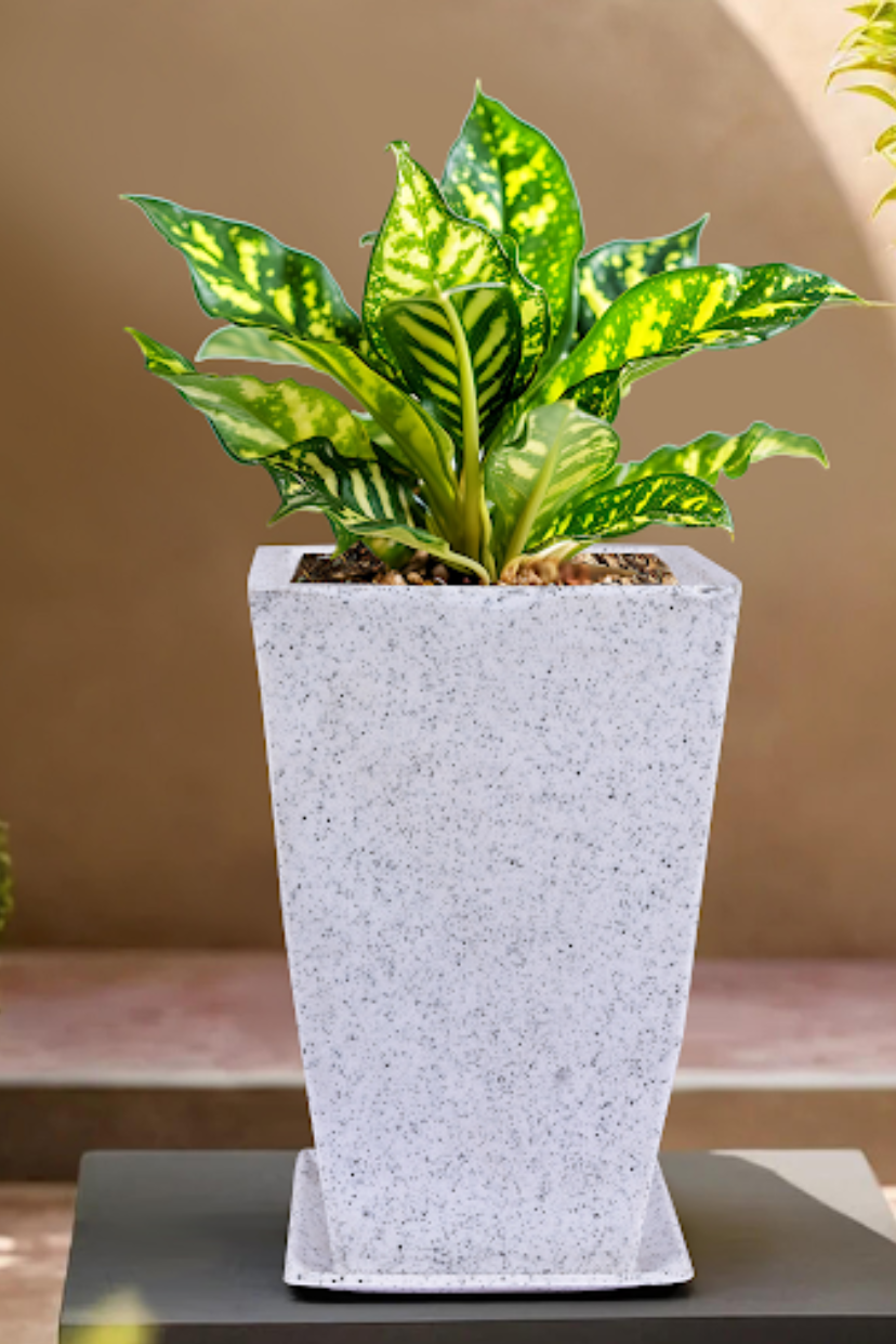 SHERA | FLOWER PLANTER