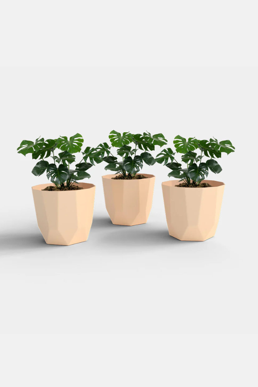 SHERA | HEXA PLANTER