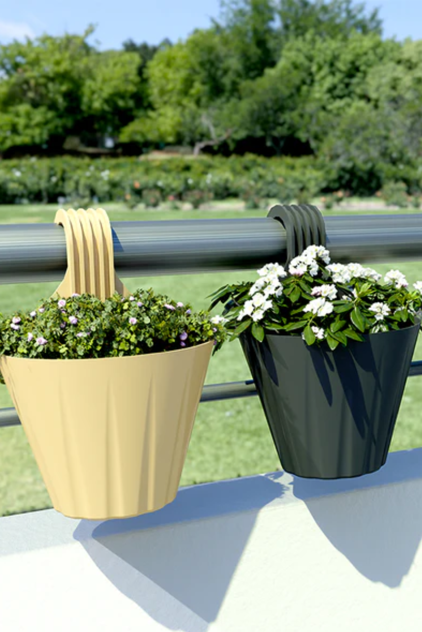 Shera | KngarooPlanter