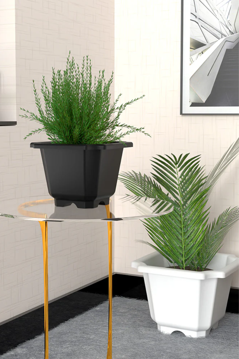 SHERA | OCTA PLANTER SET OF 12