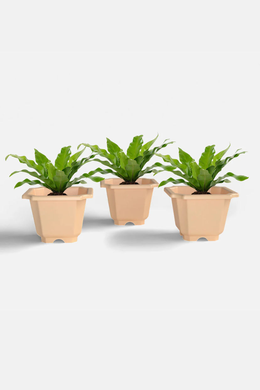 SHERA | OCTA PLANTER SET OF 3