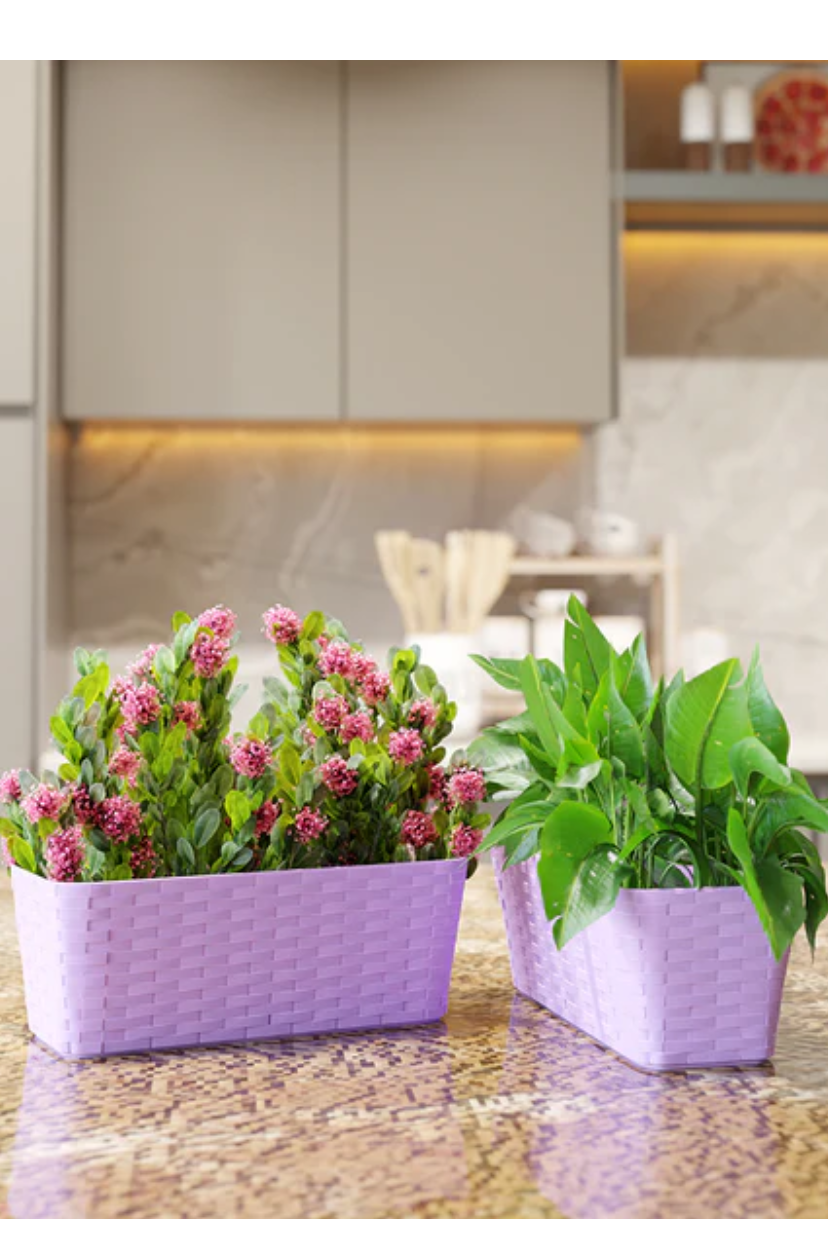 Shera | Rattan Tray