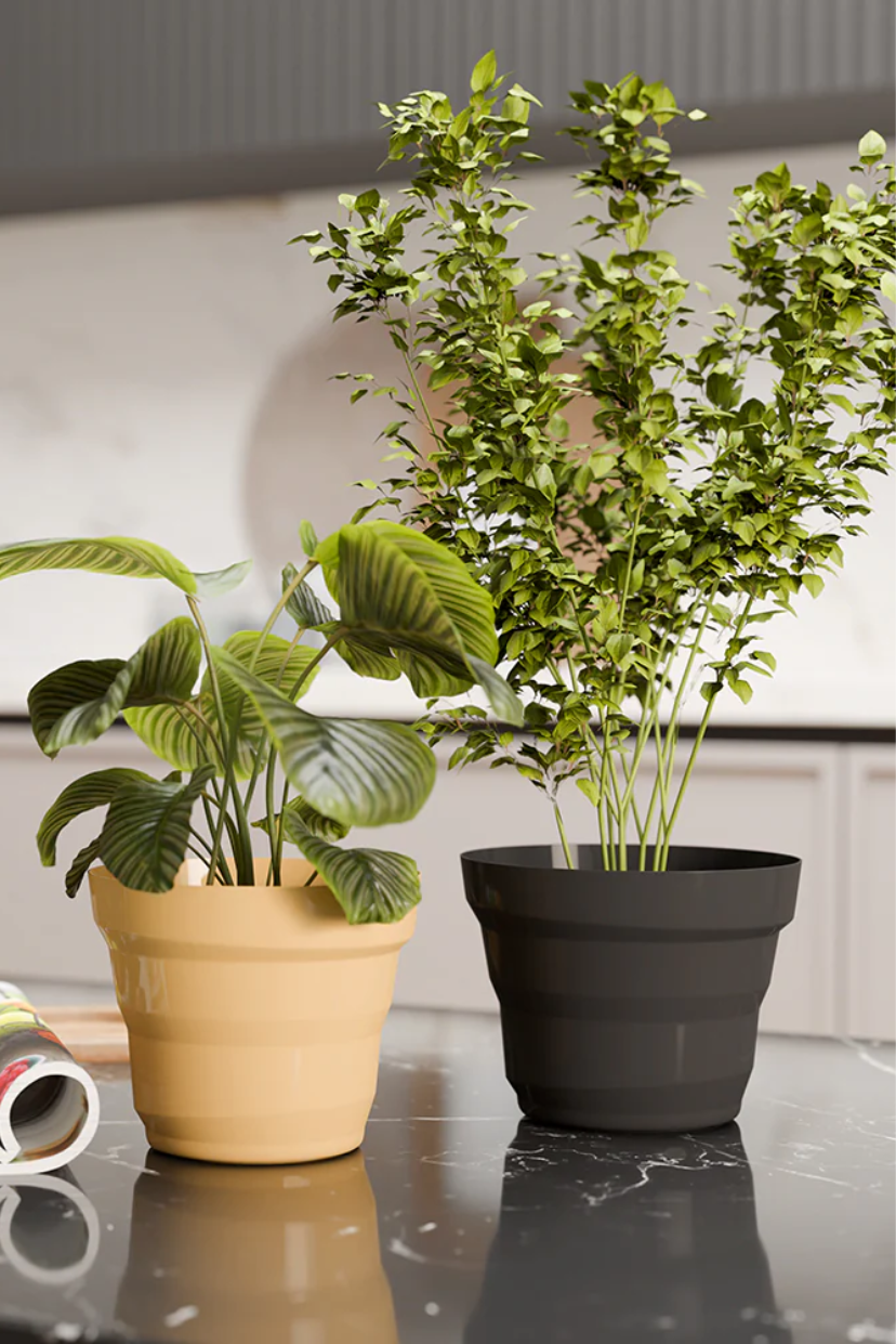 SHERA | RING PLANTER