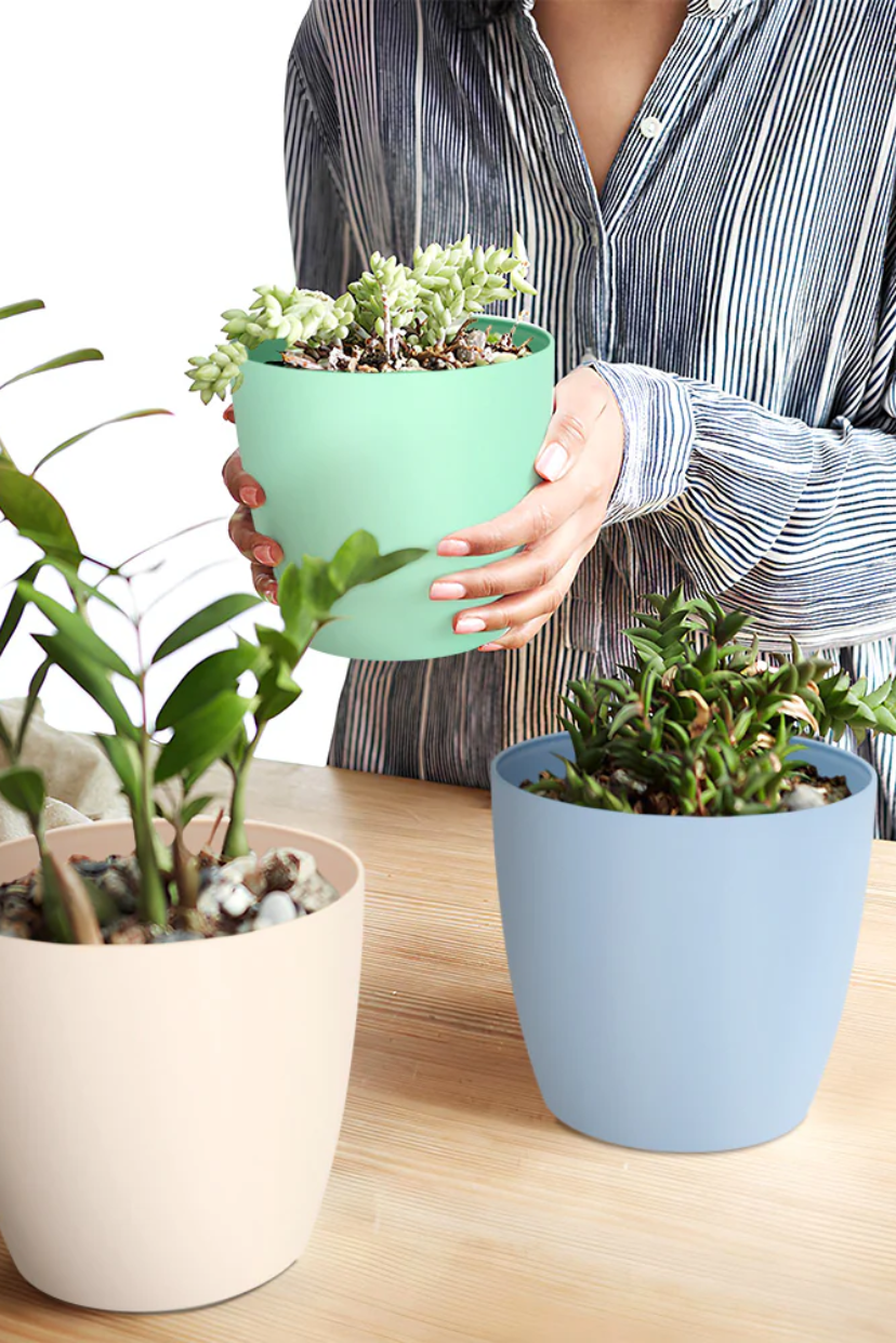 SHERA | STELLA PLANTER