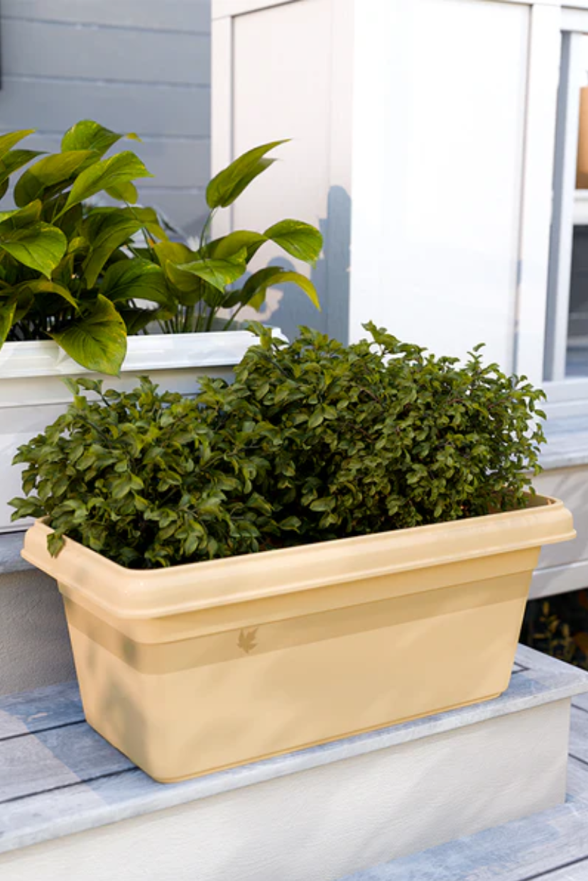 SHERA | TP PLANTER