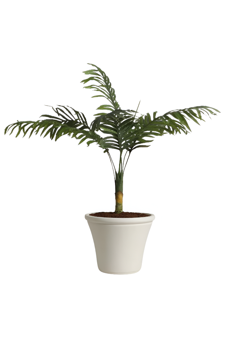 VOZARA | BRT PLANTER